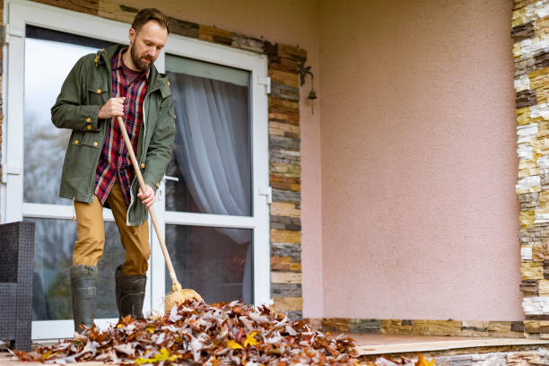 Best Same-Day Junk Removal  in Sidy, NE